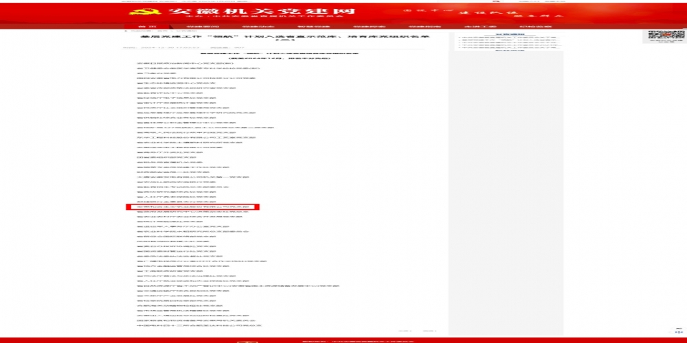 喜報(bào)！和合生態(tài)黨支部入選安徽省直機(jī)關(guān)基層黨建工作“領(lǐng)航”計(jì)劃培育庫(kù)
